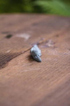 Buddha Bodhisattva Miniature Figurines(Buddha Lying Down) For Terrarium, Bonsai, Miniature, Aquarium, Micro Landscape, 12 Buddha Bodhisattva Miniature Figurines(Buddha Lying Down) For Terrarium, Bonsai, Miniature, Aquarium, Micro Landscape, -Ncyp Garden Sale Shop IMG 3665