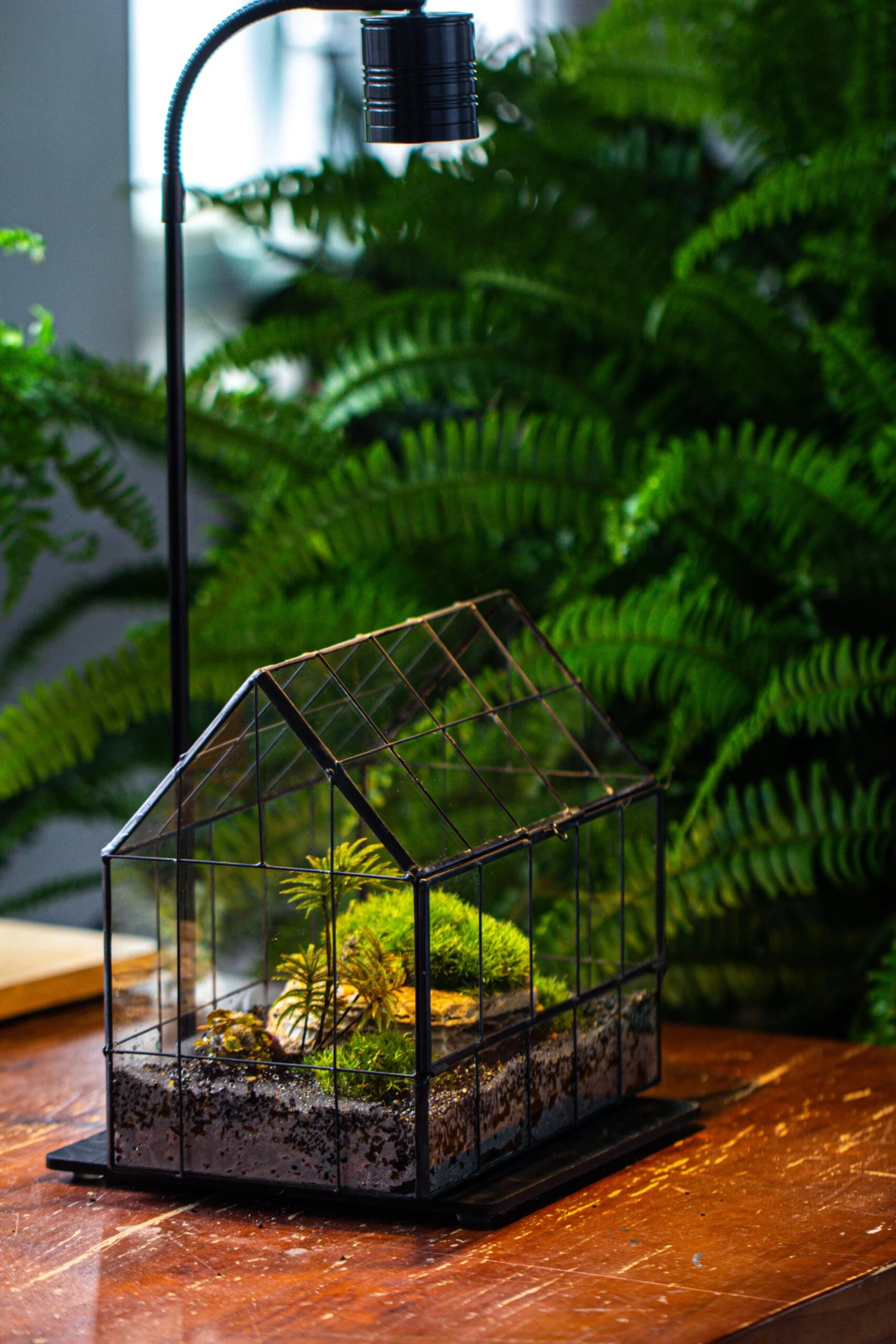 Handmade Glass Terrarium With LED Grow Light Set, Side Door Closed Geometric GreenHouse With Base And Light Set 18 Handmade Glass Terrarium With LED Grow Light Set, Side Door Closed Geometric GreenHouse With Base And Light Set - Image 18