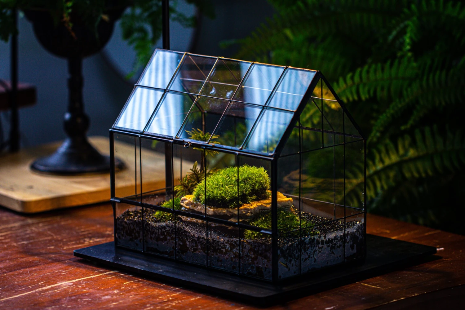 Handmade Glass Terrarium With LED Grow Light Set, Side Door Closed Geometric GreenHouse With Base And Light Set 19 Handmade Glass Terrarium With LED Grow Light Set, Side Door Closed Geometric GreenHouse With Base And Light Set - Image 19