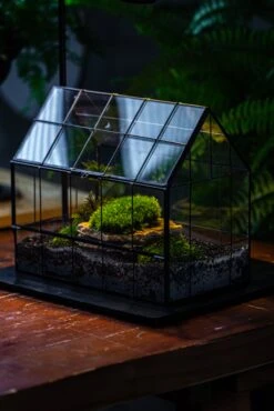 Handmade Glass Terrarium With LED Grow Light Set, Side Door Closed Geometric GreenHouse With Base And Light Set 25 Handmade Glass Terrarium With LED Grow Light Set, Side Door Closed Geometric GreenHouse With Base And Light Set -Ncyp Garden Sale Shop IMG 3803 1b2ab8c5 1de5 4bf9 a387 8c8c43157c5d