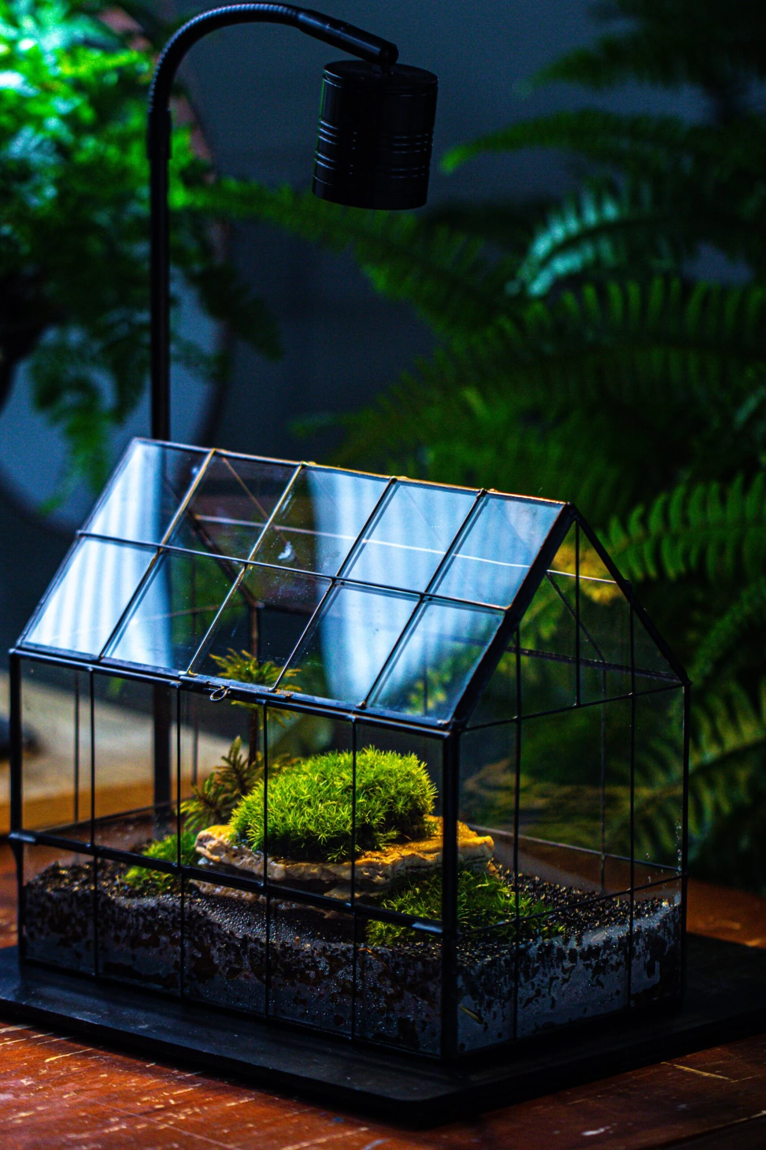 Handmade Glass Terrarium With LED Grow Light Set, Side Door Closed Geometric GreenHouse With Base And Light Set 9 Handmade Glass Terrarium With LED Grow Light Set, Side Door Closed Geometric GreenHouse With Base And Light Set - Image 9
