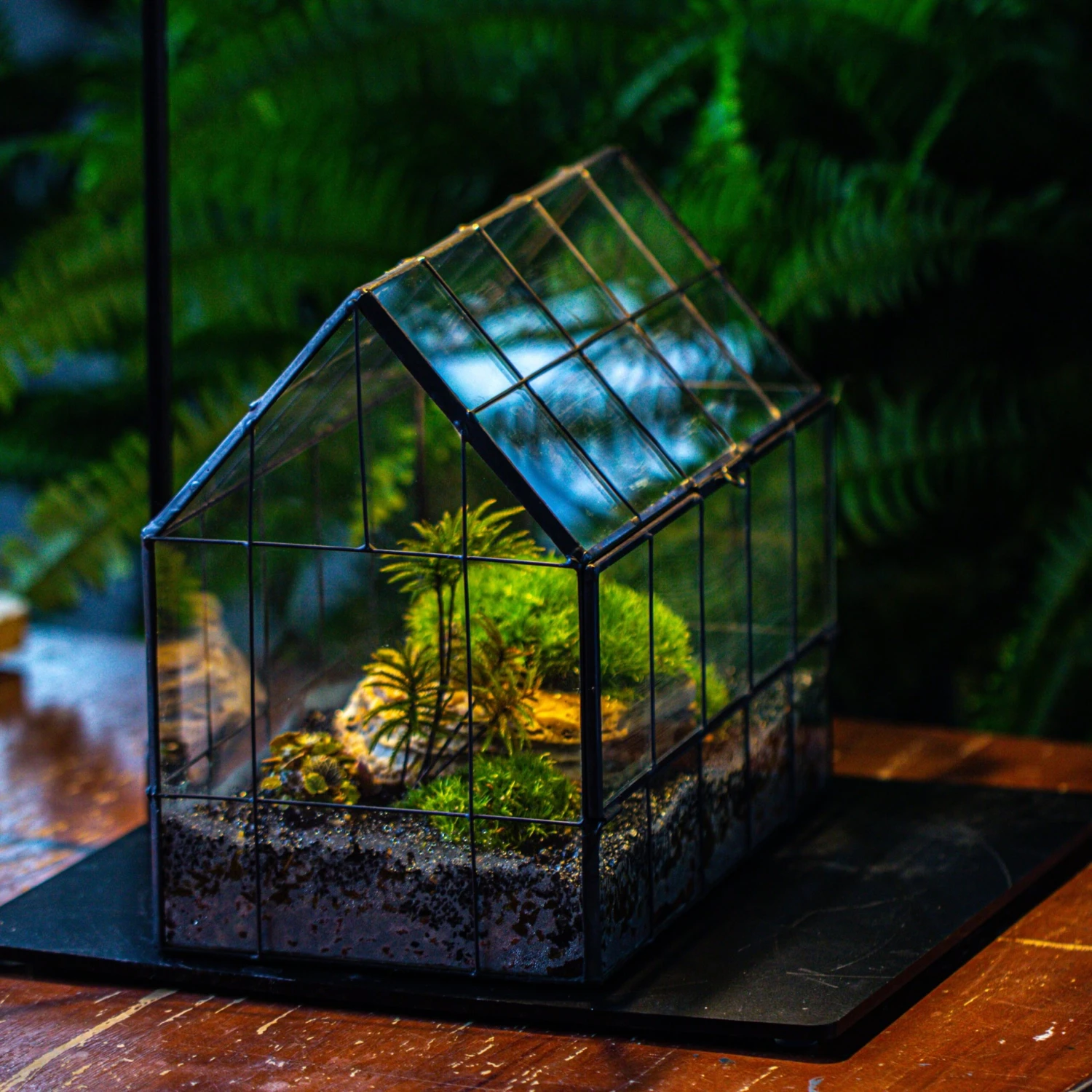 Handmade Glass Terrarium With LED Grow Light Set, Side Door Closed Geometric GreenHouse With Base And Light Set 2 Handmade Glass Terrarium With LED Grow Light Set, Side Door Closed Geometric GreenHouse With Base And Light Set - Image 2