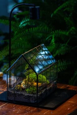 Handmade Glass Terrarium With LED Grow Light Set, Side Door Closed Geometric GreenHouse With Base And Light Set 22 Handmade Glass Terrarium With LED Grow Light Set, Side Door Closed Geometric GreenHouse With Base And Light Set -Ncyp Garden Sale Shop IMG 3813 c31e9a86 c17b 4480 9c25 846f963f17ed