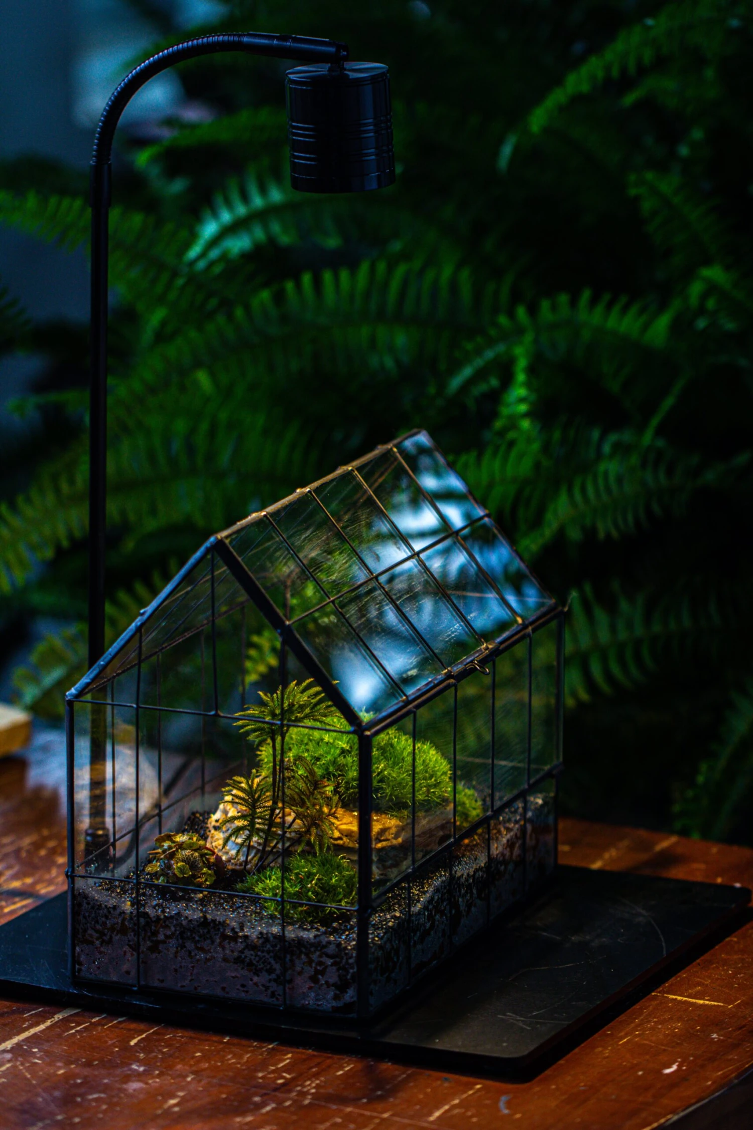 Handmade Glass Terrarium With LED Grow Light Set, Side Door Closed Geometric GreenHouse With Base And Light Set 13 Handmade Glass Terrarium With LED Grow Light Set, Side Door Closed Geometric GreenHouse With Base And Light Set - Image 13