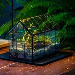 Handmade Vintage Greenhouse Inspired Tin Terrarium With LED Grow Light Set, Closed Glass Planter Set -Ncyp Garden Sale Shop IMG 3827 67a7c986 9f0e 40cd b463 c72bde032b89