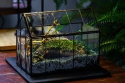 Handmade Vintage Greenhouse Inspired Tin Terrarium With LED Grow Light Set, Closed Glass Planter Set -Ncyp Garden Sale Shop IMG 3828 45ba1d0b 1979 44ea b6a0 bdebd565e5c1