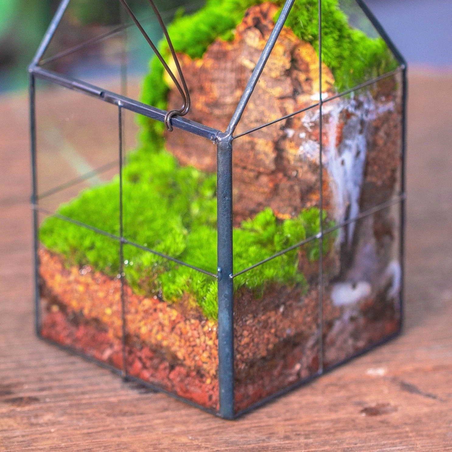 Natural Diatomaceous Rockes Stones For Top Dressing, Paving, Soil Conditioner, Potted Plants 2 Natural Diatomaceous Rockes Stones For Top Dressing, Paving, Soil Conditioner, Potted Plants - Image 2