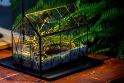 Handmade Vintage Greenhouse Inspired Tin Terrarium With LED Grow Light Set, Closed Glass Planter Set -Ncyp Garden Sale Shop IMG 3834 047f09b1 b86b 4bf5 83ad 881d7decc360