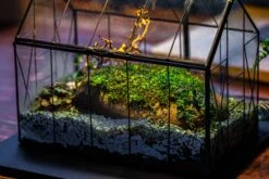 Handmade Vintage Greenhouse Inspired Tin Terrarium With LED Grow Light Set, Closed Glass Planter Set -Ncyp Garden Sale Shop IMG 3836 0a38fb28 459d 40cc a664 577754d9b995