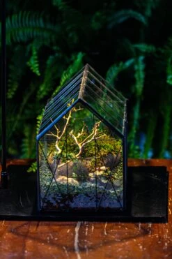 Handmade Vintage Greenhouse Inspired Tin Terrarium With LED Grow Light Set, Closed Glass Planter Set -Ncyp Garden Sale Shop IMG 3841 8071356b 6a20 468c b1ec 69c52ce29e21