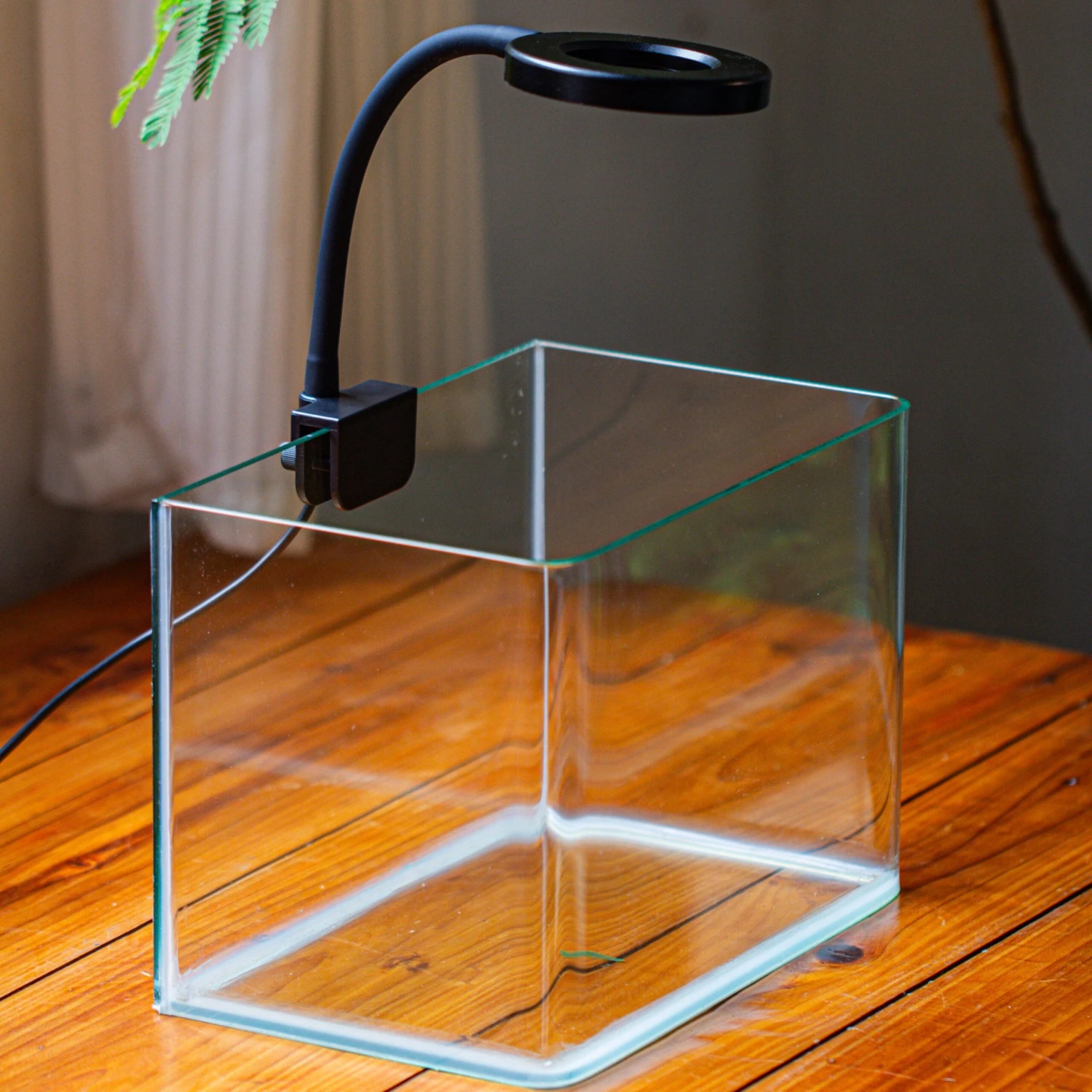 Open Moss Terrarium Building DIY Set With LED For Carnivorous Plants: Pitcher 15 Open Moss Terrarium Building DIY Set With LED For Carnivorous Plants: Pitcher - Image 15