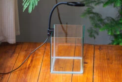 Open Moss Terrarium Building DIY Set With LED For Carnivorous Plants: Pitcher 30 Open Moss Terrarium Building DIY Set With LED For Carnivorous Plants: Pitcher -Ncyp Garden Sale Shop IMG 3967