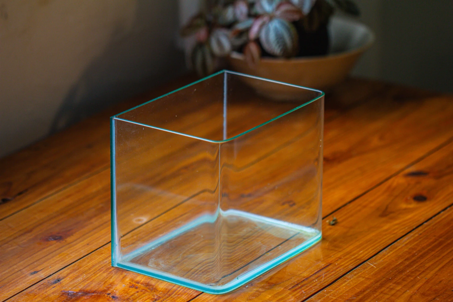 Open Moss Terrarium Building DIY Set With LED For Carnivorous Plants: Pitcher 16 Open Moss Terrarium Building DIY Set With LED For Carnivorous Plants: Pitcher - Image 16