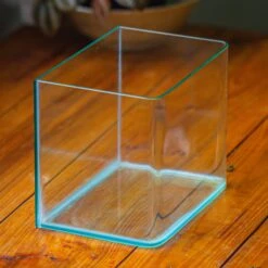 WaterTight Curved Glass Terrarium For Tropical Bog Plants