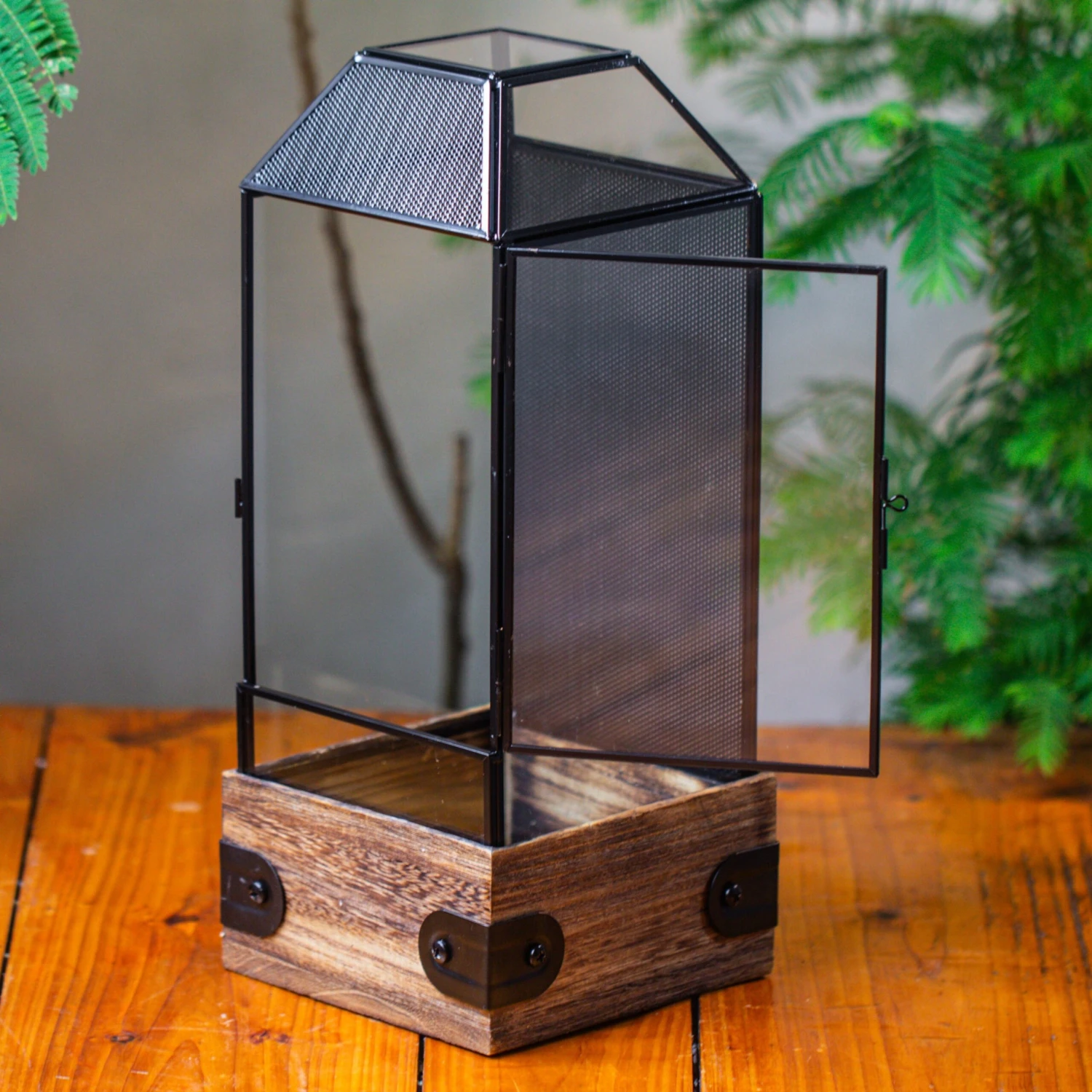 Handmade Glass Terrarium With Wood Base, Geometric Jumping Spider Enclosure, With Mesh Vent, For Plants, Snail, Insects 2 Handmade Glass Terrarium With Wood Base, Geometric Jumping Spider Enclosure, With Mesh Vent, For Plants, Snail, Insects - Image 2
