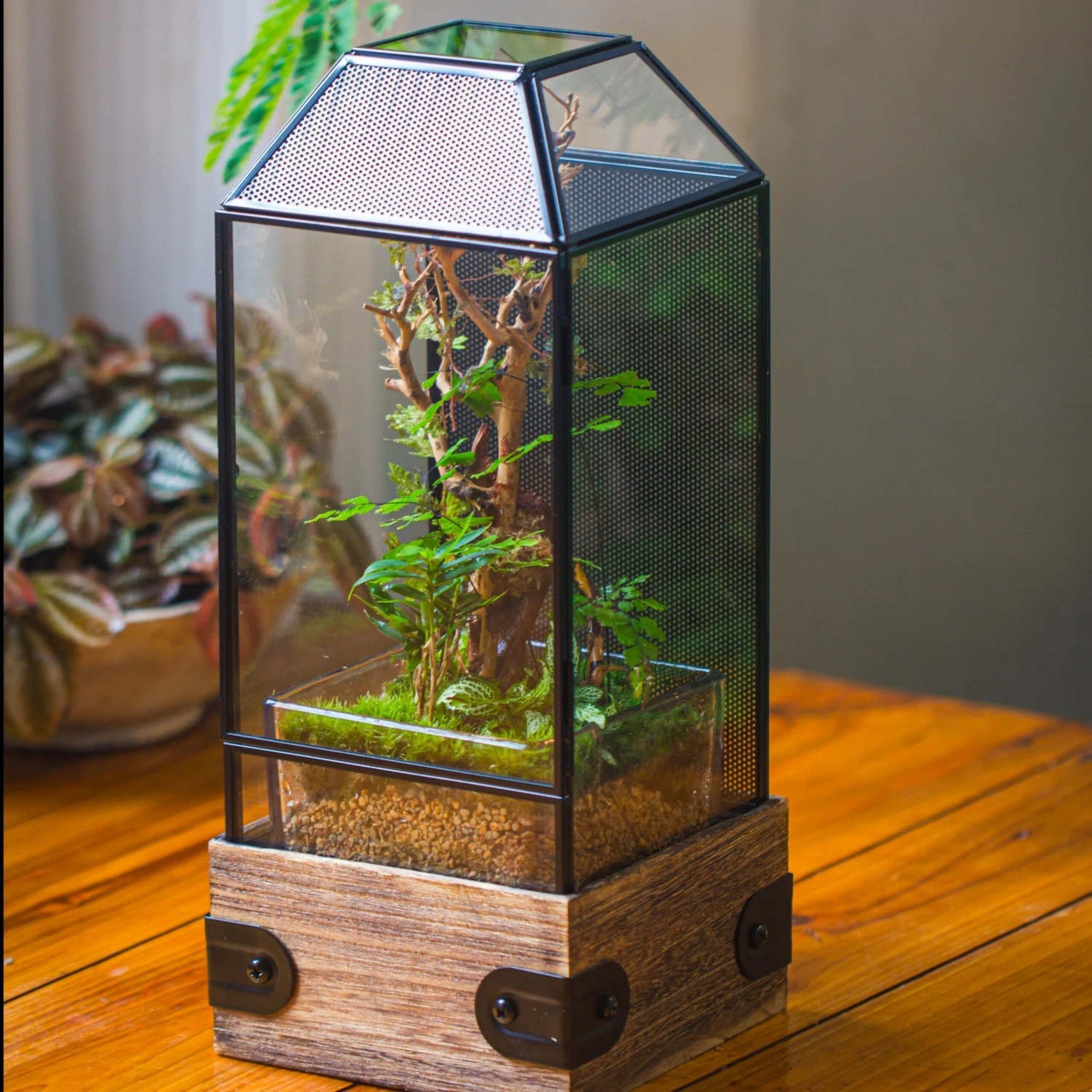 Handmade Glass Terrarium With Wood Base, Geometric Jumping Spider Enclosure, With Mesh Vent, For Plants, Snail, Insects 3 Handmade Glass Terrarium With Wood Base, Geometric Jumping Spider Enclosure, With Mesh Vent, For Plants, Snail, Insects - Image 3