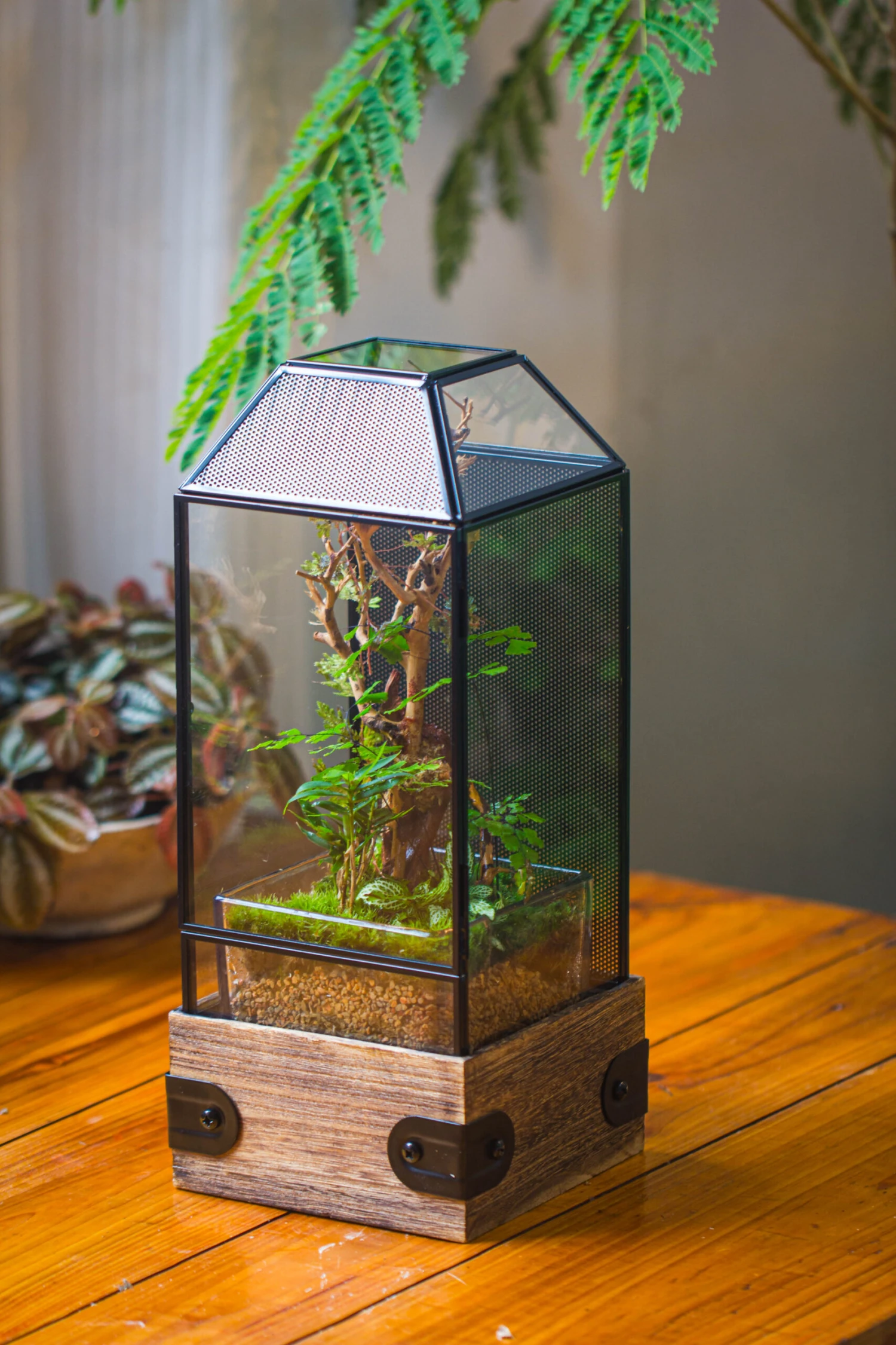 Handmade Glass Terrarium With Wood Base, Geometric Jumping Spider Enclosure, With Mesh Vent, For Plants, Snail, Insects 8 Handmade Glass Terrarium With Wood Base, Geometric Jumping Spider Enclosure, With Mesh Vent, For Plants, Snail, Insects - Image 8