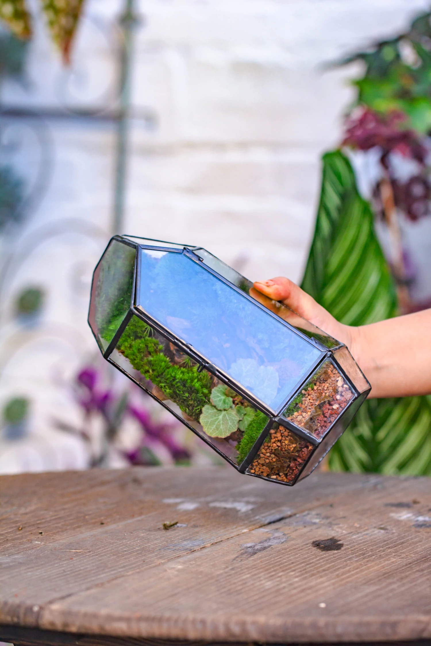 NCYP 8.66" Height Closed Irregular Glass Terrarium With Door Succulent Planter Geometric Flower Plant Pot Tabletop Small Bonsai 3 NCYP 8.66" Height Closed Irregular Glass Terrarium With Door Succulent Planter Geometric Flower Plant Pot Tabletop Small Bonsai - Image 3
