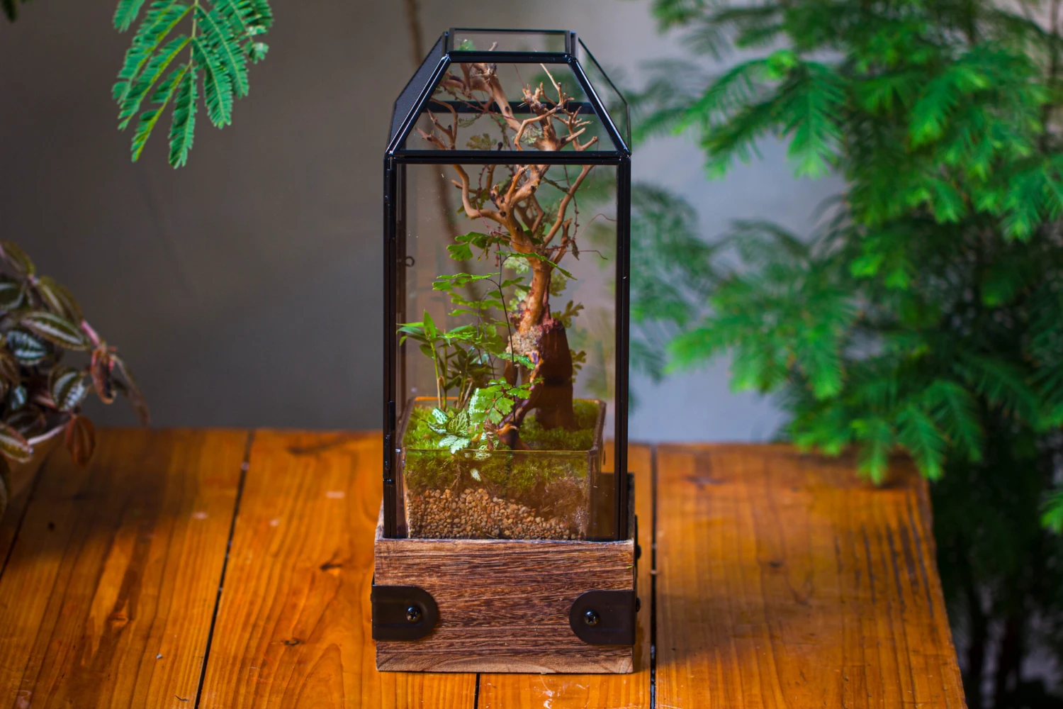 Handmade Glass Terrarium With Wood Base, Geometric Jumping Spider Enclosure, With Mesh Vent, For Plants, Snail, Insects 12 Handmade Glass Terrarium With Wood Base, Geometric Jumping Spider Enclosure, With Mesh Vent, For Plants, Snail, Insects - Image 12
