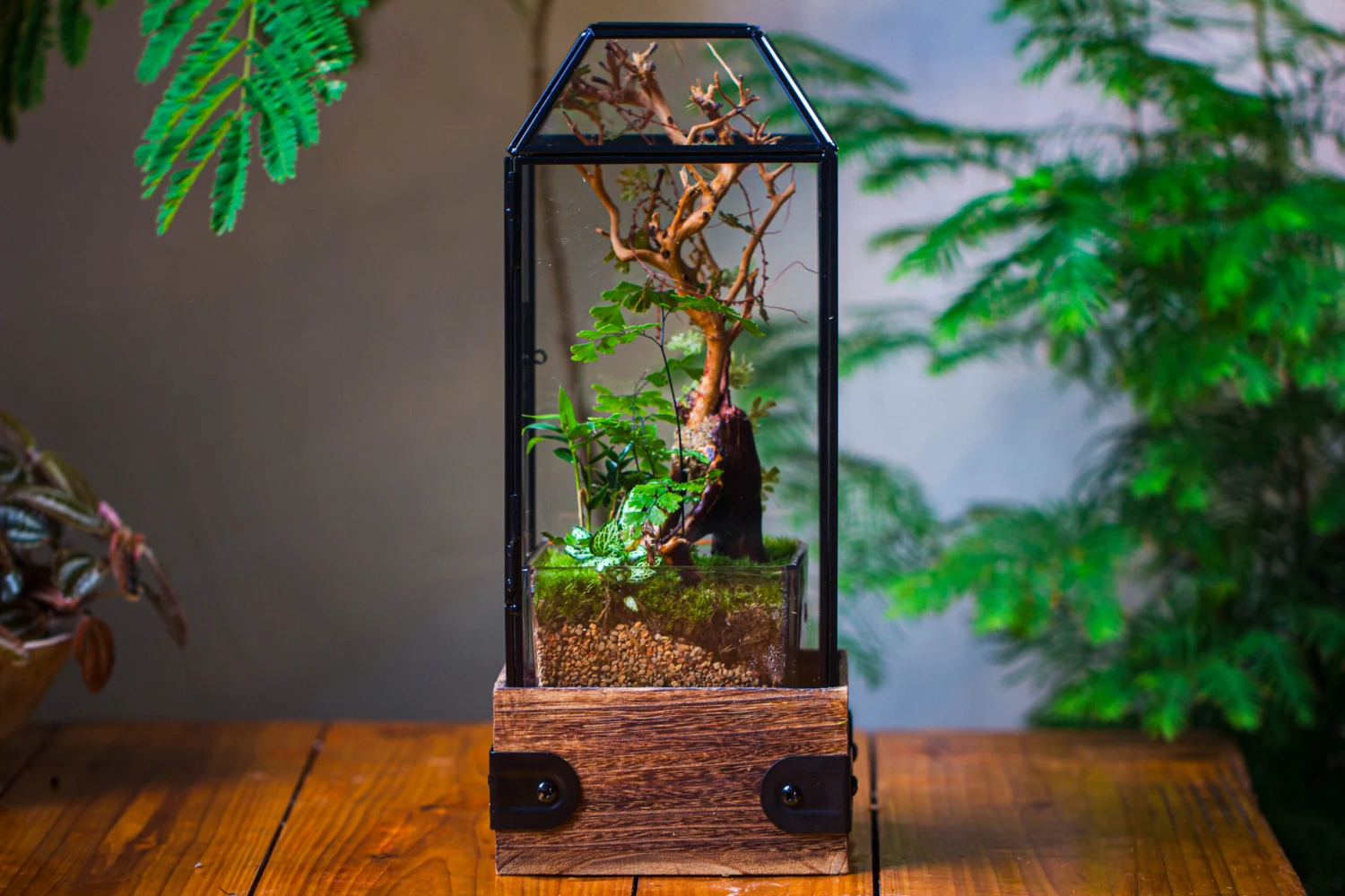 Handmade Glass Terrarium With Wood Base, Geometric Jumping Spider Enclosure, With Mesh Vent, For Plants, Snail, Insects 13 Handmade Glass Terrarium With Wood Base, Geometric Jumping Spider Enclosure, With Mesh Vent, For Plants, Snail, Insects - Image 13