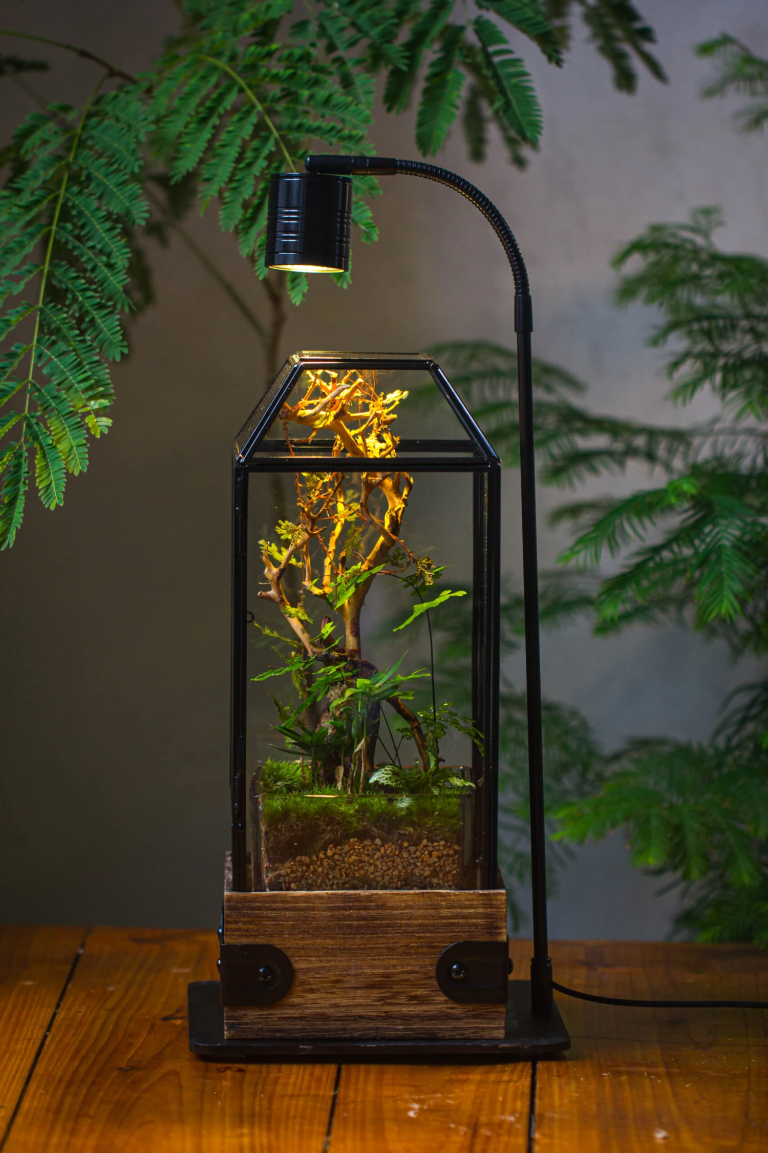 Handmade Glass Terrarium With Wood Base, Geometric Jumping Spider Enclosure, With Mesh Vent, For Plants, Snail, Insects 15 Handmade Glass Terrarium With Wood Base, Geometric Jumping Spider Enclosure, With Mesh Vent, For Plants, Snail, Insects - Image 15