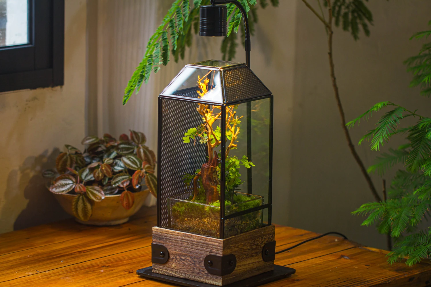 Handmade Glass Terrarium With Wood Base, Geometric Jumping Spider Enclosure, With Mesh Vent, For Plants, Snail, Insects 16 Handmade Glass Terrarium With Wood Base, Geometric Jumping Spider Enclosure, With Mesh Vent, For Plants, Snail, Insects - Image 16