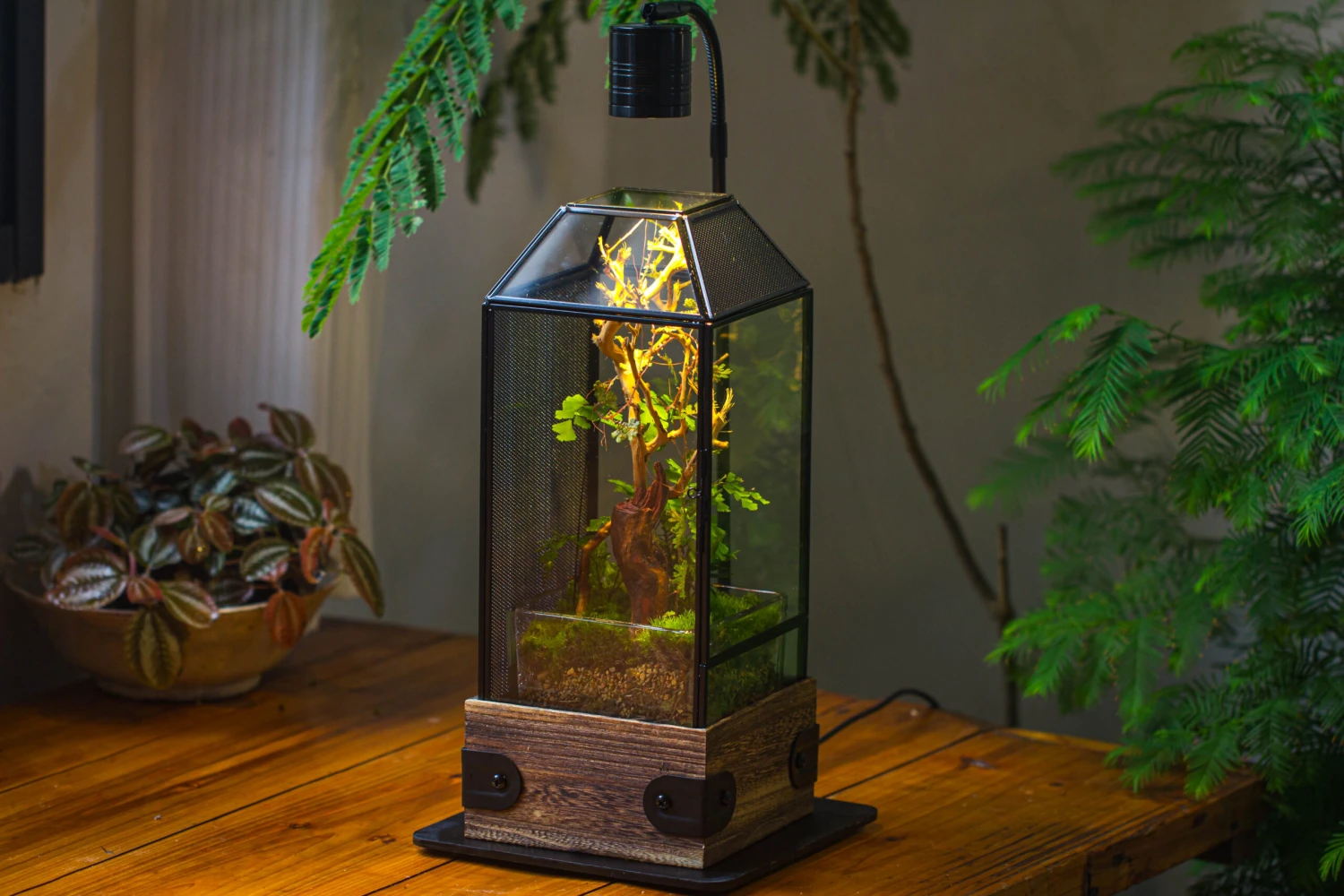 Handmade Glass Terrarium With Wood Base, Geometric Jumping Spider Enclosure, With Mesh Vent, For Plants, Snail, Insects 17 Handmade Glass Terrarium With Wood Base, Geometric Jumping Spider Enclosure, With Mesh Vent, For Plants, Snail, Insects - Image 17