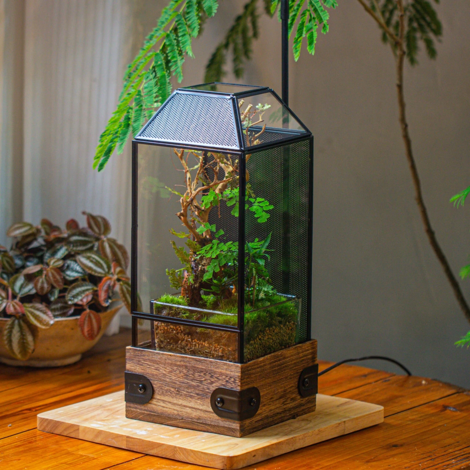 Handmade Glass Terrarium With Wood Base, Geometric Jumping Spider Enclosure, With Mesh Vent, For Plants, Snail, Insects 4 Handmade Glass Terrarium With Wood Base, Geometric Jumping Spider Enclosure, With Mesh Vent, For Plants, Snail, Insects - Image 4