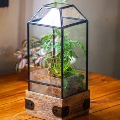 Handmade Glass Terrarium With Wood Base, Geometric Planter With Door, With LED Wood Lamp Base For Plants, Moss Landscapes, Plant Lover Gift -Ncyp Garden Sale Shop IMG 4288