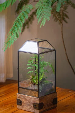 Handmade Glass Terrarium With Wood Base, Geometric Planter With Door, With LED Wood Lamp Base For Plants, Moss Landscapes, Plant Lover Gift -Ncyp Garden Sale Shop IMG 4289 1b674e54 c485 4e87 8242 7534238e6924