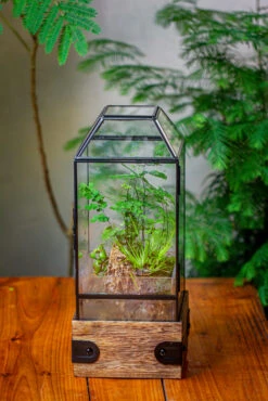 Handmade Glass Terrarium With Wood Base, Geometric Planter With Door, With LED Wood Lamp Base For Plants, Moss Landscapes, Plant Lover Gift -Ncyp Garden Sale Shop IMG 4290