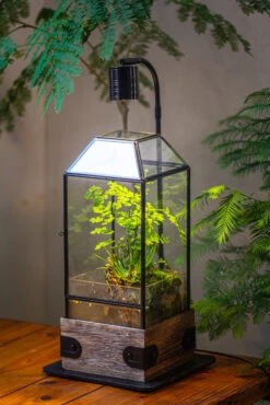 Handmade Glass Terrarium With Wood Base, Geometric Planter With Door, With LED Wood Lamp Base For Plants, Moss Landscapes, Plant Lover Gift -Ncyp Garden Sale Shop IMG 4291 1