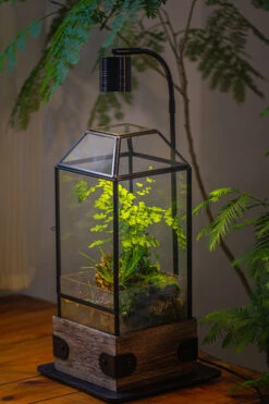 Handmade Glass Terrarium With Wood Base, Geometric Planter With Door, With LED Wood Lamp Base For Plants, Moss Landscapes, Plant Lover Gift -Ncyp Garden Sale Shop IMG 4292 1