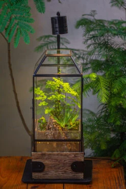 Handmade Glass Terrarium With Wood Base, Geometric Planter With Door, With LED Wood Lamp Base For Plants, Moss Landscapes, Plant Lover Gift -Ncyp Garden Sale Shop IMG 4293 5f80df68 64e0 48b2 af99 fb8c7934b588 1
