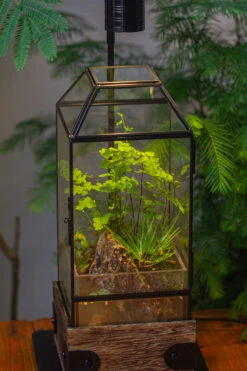 Handmade Glass Terrarium With Wood Base, Geometric Planter With Door, With LED Wood Lamp Base For Plants, Moss Landscapes, Plant Lover Gift -Ncyp Garden Sale Shop IMG 4296 1
