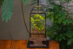 Handmade Glass Terrarium With Wood Base, Geometric Planter With Door, With LED Wood Lamp Base For Plants, Moss Landscapes, Plant Lover Gift -Ncyp Garden Sale Shop IMG 4297 1