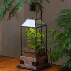 Handmade Glass Terrarium With Wood Base, Geometric Planter With Door, With LED Wood Lamp Base For Plants, Moss Landscapes, Plant Lover Gift -Ncyp Garden Sale Shop IMG 4299 1