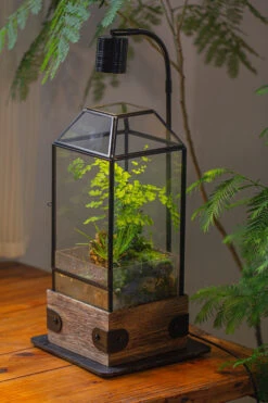 Handmade Glass Terrarium With Wood Base, Geometric Planter With Door, With LED Wood Lamp Base For Plants, Moss Landscapes, Plant Lover Gift -Ncyp Garden Sale Shop IMG 4300 1