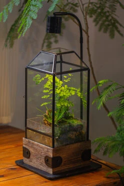 Handmade Glass Terrarium With Wood Base, Geometric Planter With Door, With LED Wood Lamp Base For Plants, Moss Landscapes, Plant Lover Gift -Ncyp Garden Sale Shop IMG 4301 1