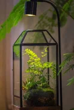 Handmade Glass Terrarium With Wood Base, Geometric Planter With Door, With LED Wood Lamp Base For Plants, Moss Landscapes, Plant Lover Gift -Ncyp Garden Sale Shop IMG 4305 1