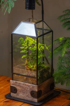 Handmade Glass Terrarium With Wood Base, Geometric Planter With Door, With LED Wood Lamp Base For Plants, Moss Landscapes, Plant Lover Gift -Ncyp Garden Sale Shop IMG 4307 1