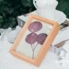 NCYP Handmade Personalized Tabletop Wall Hanging Natural Wood Glass Floating Frame For Photo