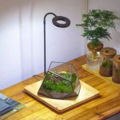 Geometric Terrarium Irregular, Handmade,Tin And Glass -Ncyp Garden Sale Shop IMG 4441