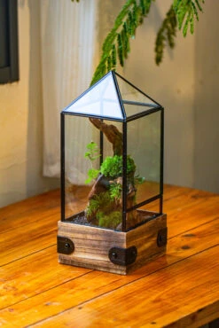 Handmade Glass Terrarium With Wood Base, Pyramid Shape Planter With Door, With LED Wood Lamp Base For Plants, Moss Landscapes, Plant Lover Gift 37 Handmade Glass Terrarium With Wood Base, Pyramid Shape Planter With Door, With LED Wood Lamp Base For Plants, Moss Landscapes, Plant Lover Gift -Ncyp Garden Sale Shop IMG 4465