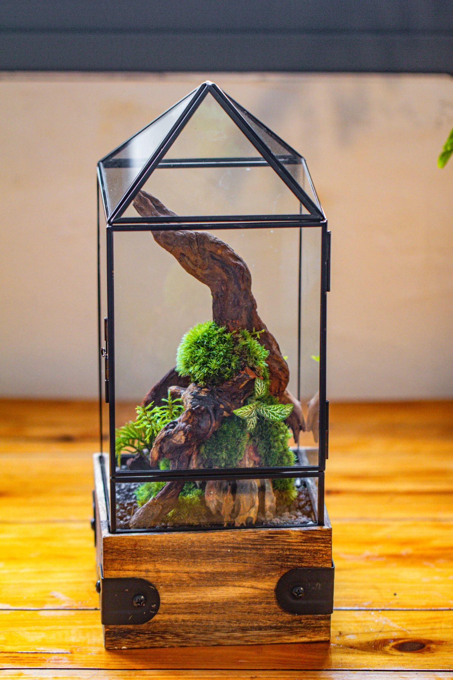 Handmade Glass Terrarium With Wood Base, Pyramid Shape Planter With Door, With LED Wood Lamp Base For Plants, Moss Landscapes, Plant Lover Gift 16 Handmade Glass Terrarium With Wood Base, Pyramid Shape Planter With Door, With LED Wood Lamp Base For Plants, Moss Landscapes, Plant Lover Gift - Image 16