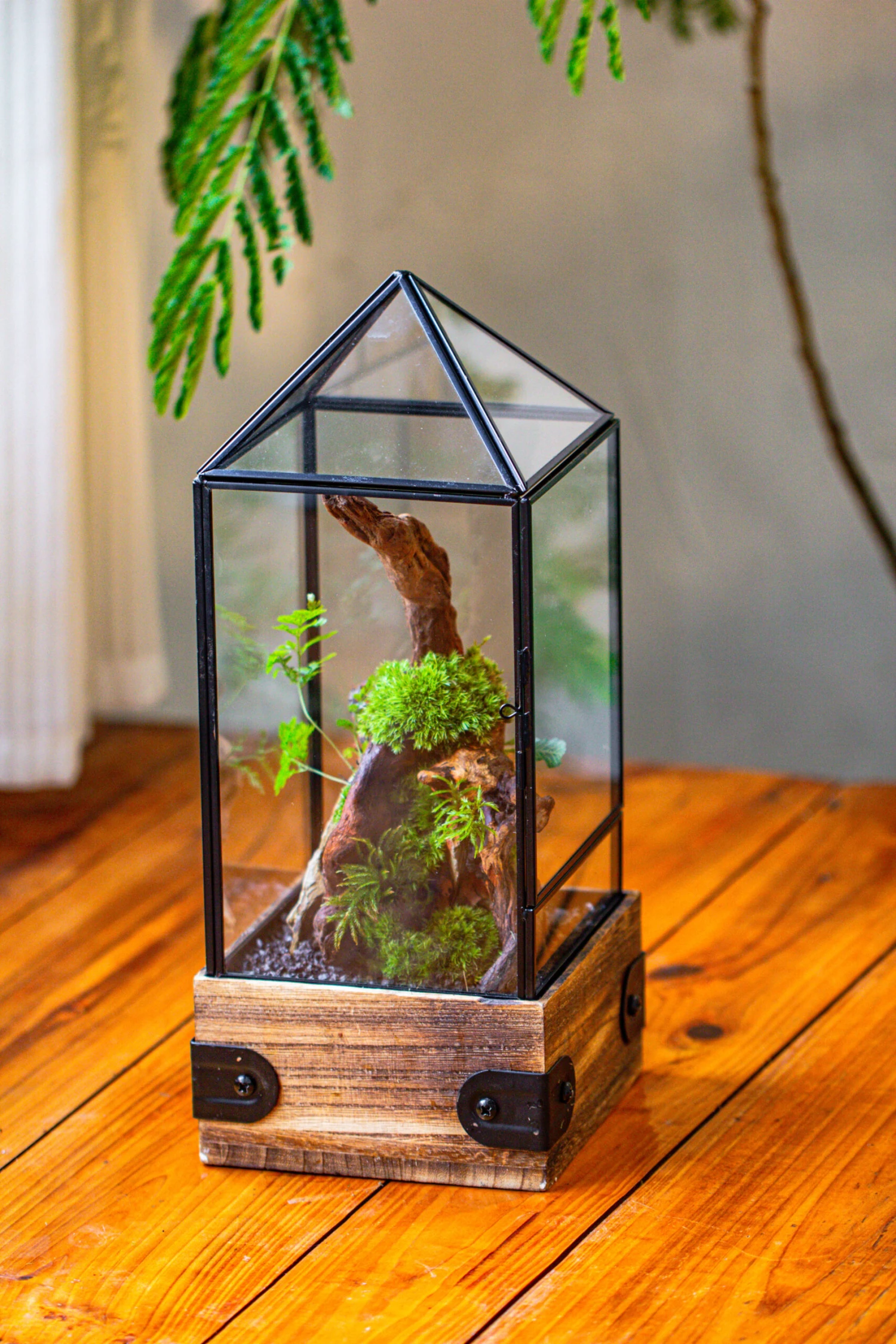 Handmade Glass Terrarium With Wood Base, Pyramid Shape Planter With Door, With LED Wood Lamp Base For Plants, Moss Landscapes, Plant Lover Gift 13 Handmade Glass Terrarium With Wood Base, Pyramid Shape Planter With Door, With LED Wood Lamp Base For Plants, Moss Landscapes, Plant Lover Gift - Image 13