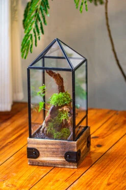 Handmade Glass Terrarium With Wood Base, Pyramid Shape Planter With Door, With LED Acrylic Lamp Base For Plants, Moss Landscapes, Plant Lover Gift -Ncyp Garden Sale Shop IMG 4467