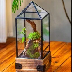 Handmade Glass Terrarium With Wood Base, Pyramid Shape Planter With Door, With LED Acrylic Lamp Base For Plants, Moss Landscapes, Plant Lover Gift -Ncyp Garden Sale Shop IMG 4467 0df73322 1f52 4fd5 89de 4de59c9550ca