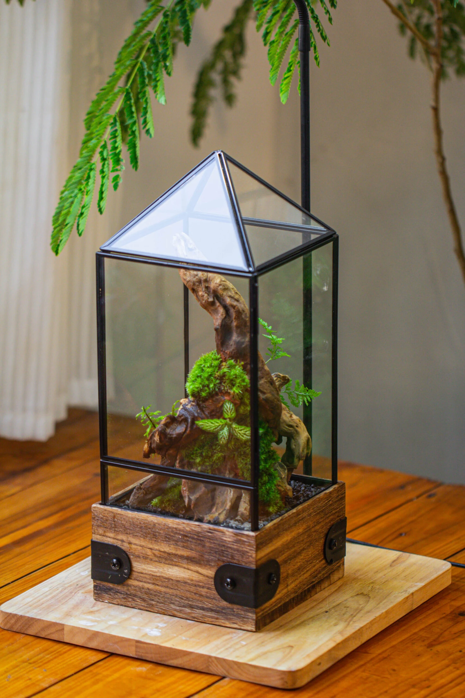 Handmade Glass Terrarium With Wood Base, Pyramid Shape Planter With Door, With LED Wood Lamp Base For Plants, Moss Landscapes, Plant Lover Gift 6 Handmade Glass Terrarium With Wood Base, Pyramid Shape Planter With Door, With LED Wood Lamp Base For Plants, Moss Landscapes, Plant Lover Gift - Image 6