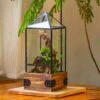 Handmade Glass Terrarium With Wood Base, Pyramid Shape Planter With Door, With LED Wood Lamp Base For Plants, Moss Landscapes, Plant Lover Gift